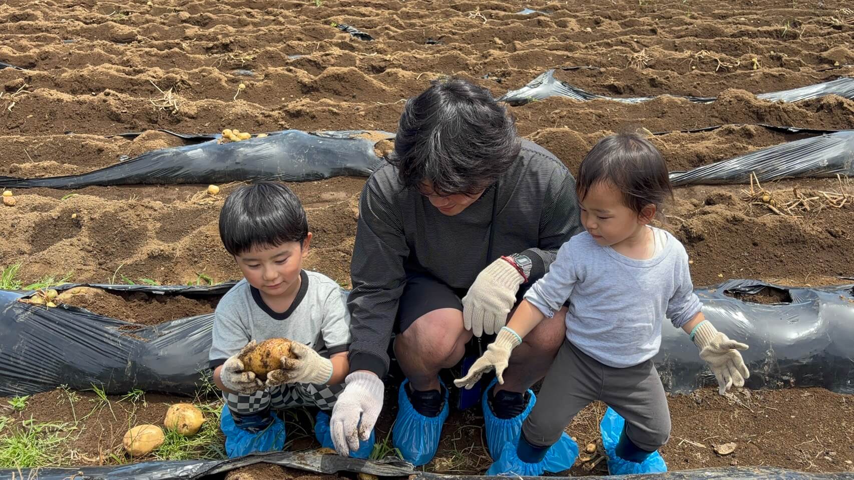 畑で野菜を収穫する渡部 裕貴と2人の子ども