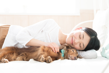 犬と寄り添って一緒に寝る暮らし 注意すべき理由とは 東京都の注文住宅ならリガードへ
