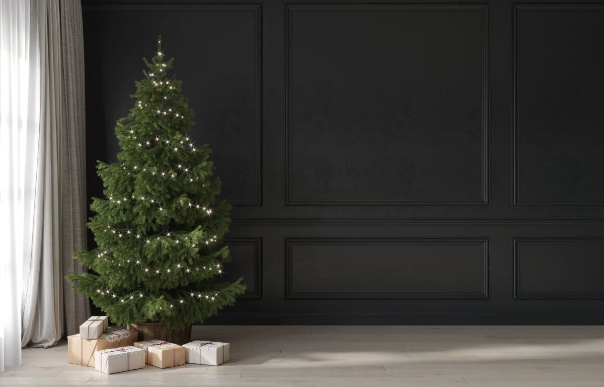 本物の木でクリスマスを彩る 観葉植物としてのもみの木のススメ 東京都の注文住宅ならリガードへ