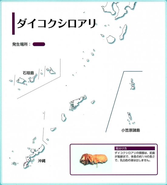 ダイコクシロアリの分布図